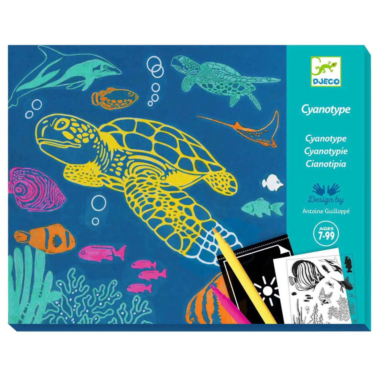 Djeco Knutselen Cyanotype - Zee