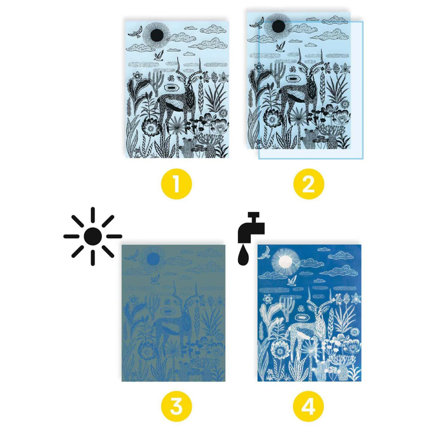 Djeco Knutselen Cyanotype - Nachtelijke Savanne