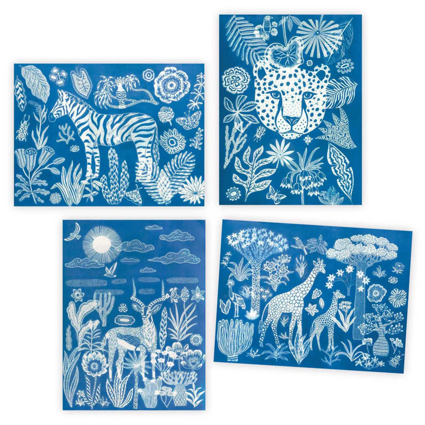 Djeco Knutselen Cyanotype - Nachtelijke Savanne