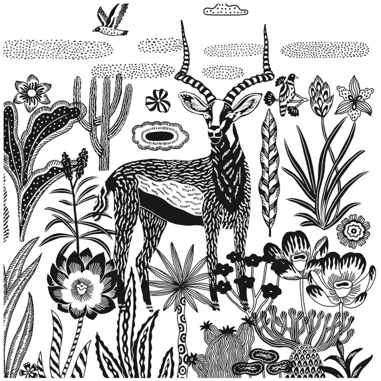 Djeco Knutselen Cyanotype - Nachtelijke Savanne