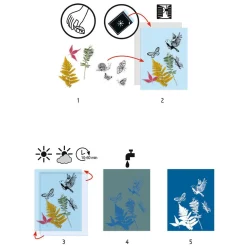 Djeco Knutselen Startpakket Cyanotype - Bladeren