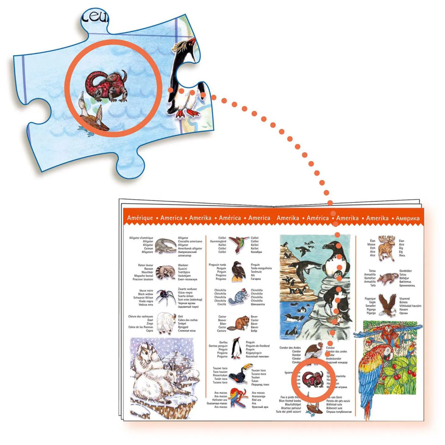 Djeco Legpuzzel Dieren van de Wereld - 100st.