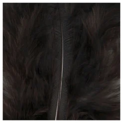 Dons Zwart 5-12 cm, 15st.