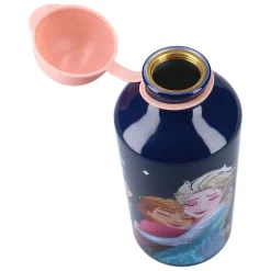 Drinkfles Frozen II Really Refreshing - 500ml