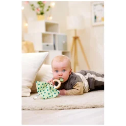 Eichhorn Baby HIPP Houten Bijtring met Knuffeldoekje