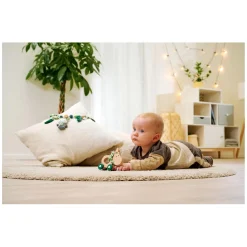 Eichhorn Baby HIPP Houten Duwfiguur Ezel