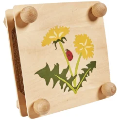 Eichhorn Outdoor Bladeren en Bloemenpers Knutselset