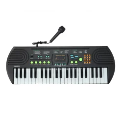 Electronisch Keyboard met Microfoon