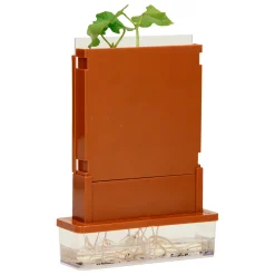 Experimenten - Planten Doolhof, 21dlg.