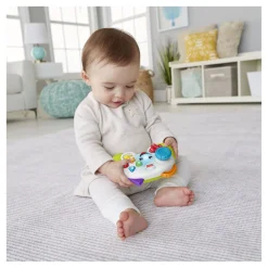 Fisher Price Leerplezier Spelen en Leren Controller