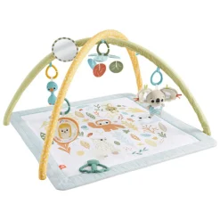 Fisher Price Simply Senses Babygym