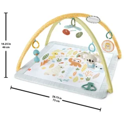 Fisher Price Simply Senses Babygym