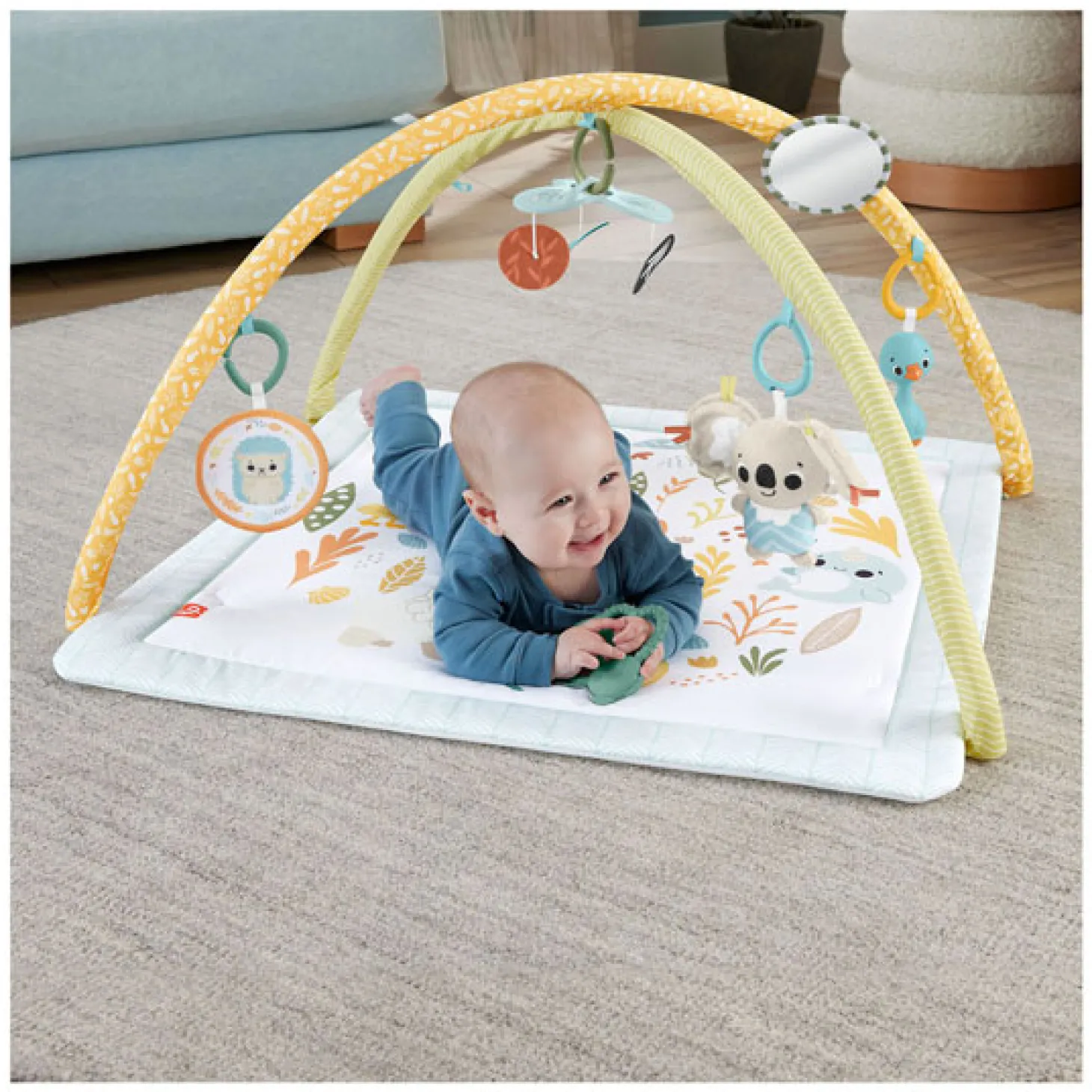 Fisher Price Simply Senses Babygym