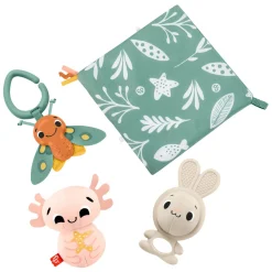 Fisher Price Zoveel Zintuigen Cadeauset