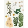 Gedroogde Bloemen en Bladeren Off-white, 19dlg.