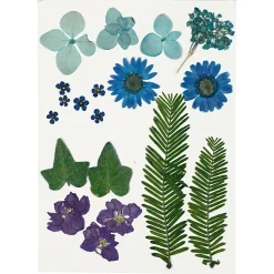 Gedroogde Bloemen en Bladeren Blauw, 19dlg.