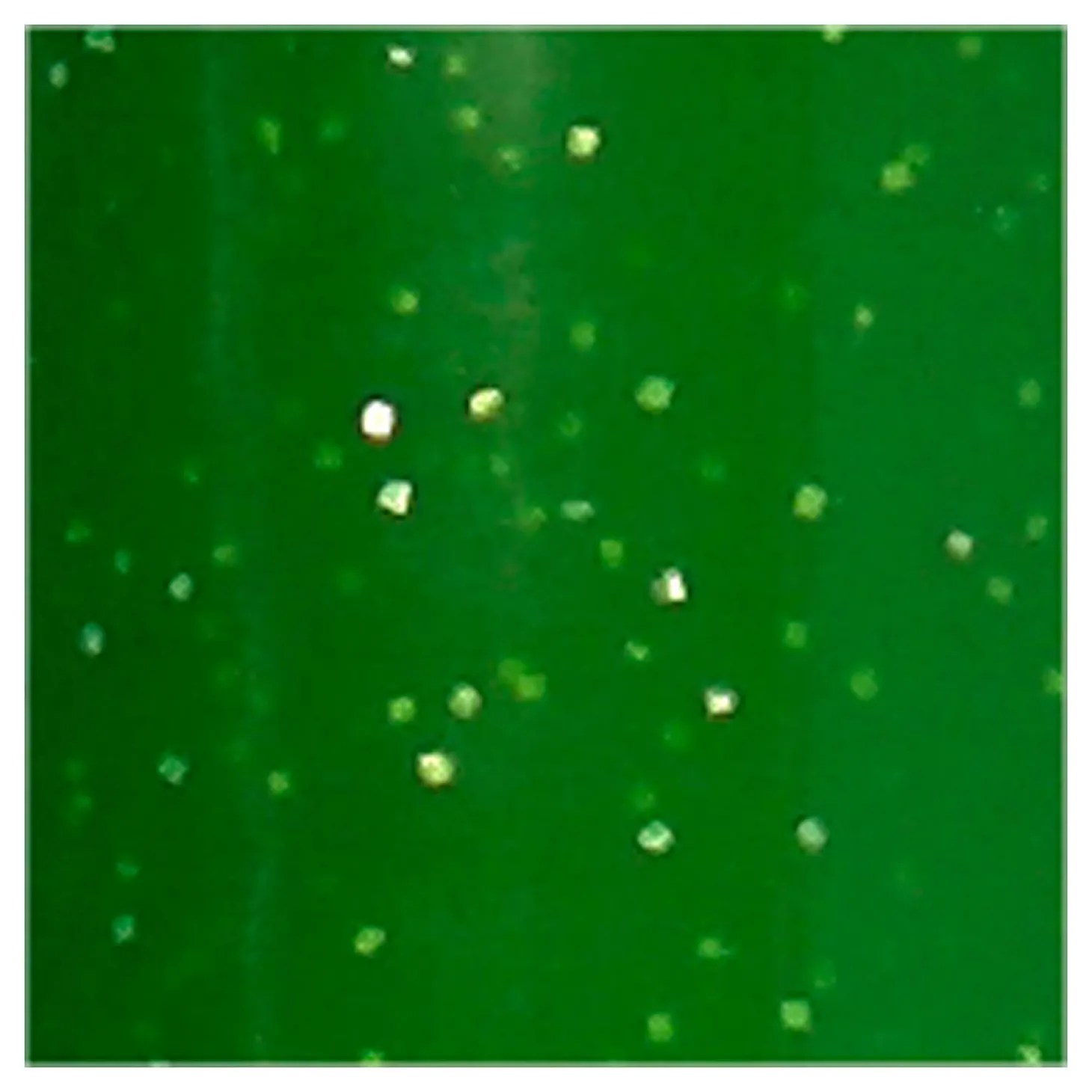 Glas- en Porseleinstift Glitter Semi-Dekkend - Lichtgroen