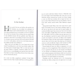 Gouden Paarden: Maisa de dappere arabier