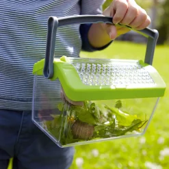 Haba Terra Kids - Insectendoos