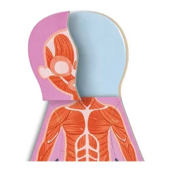 Hape Menselijk Lichaam Magnetische Puzzel - 63dlg.