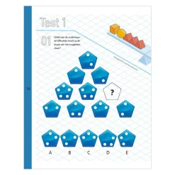 Het Ultieme IQ-testen Boek