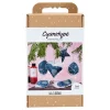 Hobbyset Cyanotypie Kerstdecoraties met Cyanotypie Blauw