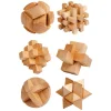 Houten Breinpuzzel
