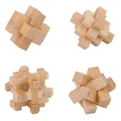 Houten Breinpuzzel