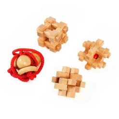 Houten Breinpuzzels Extreme, 4st.