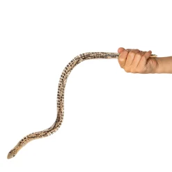 Houten Kronkel Slang