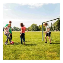 HUDORA Voetbaldoel Expert 300