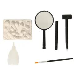 Insecten Archeologie