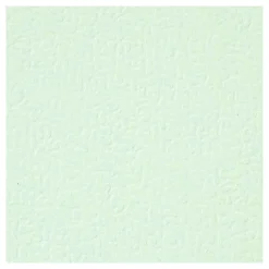 Karton Lichtgroen A4 220g, 10st.