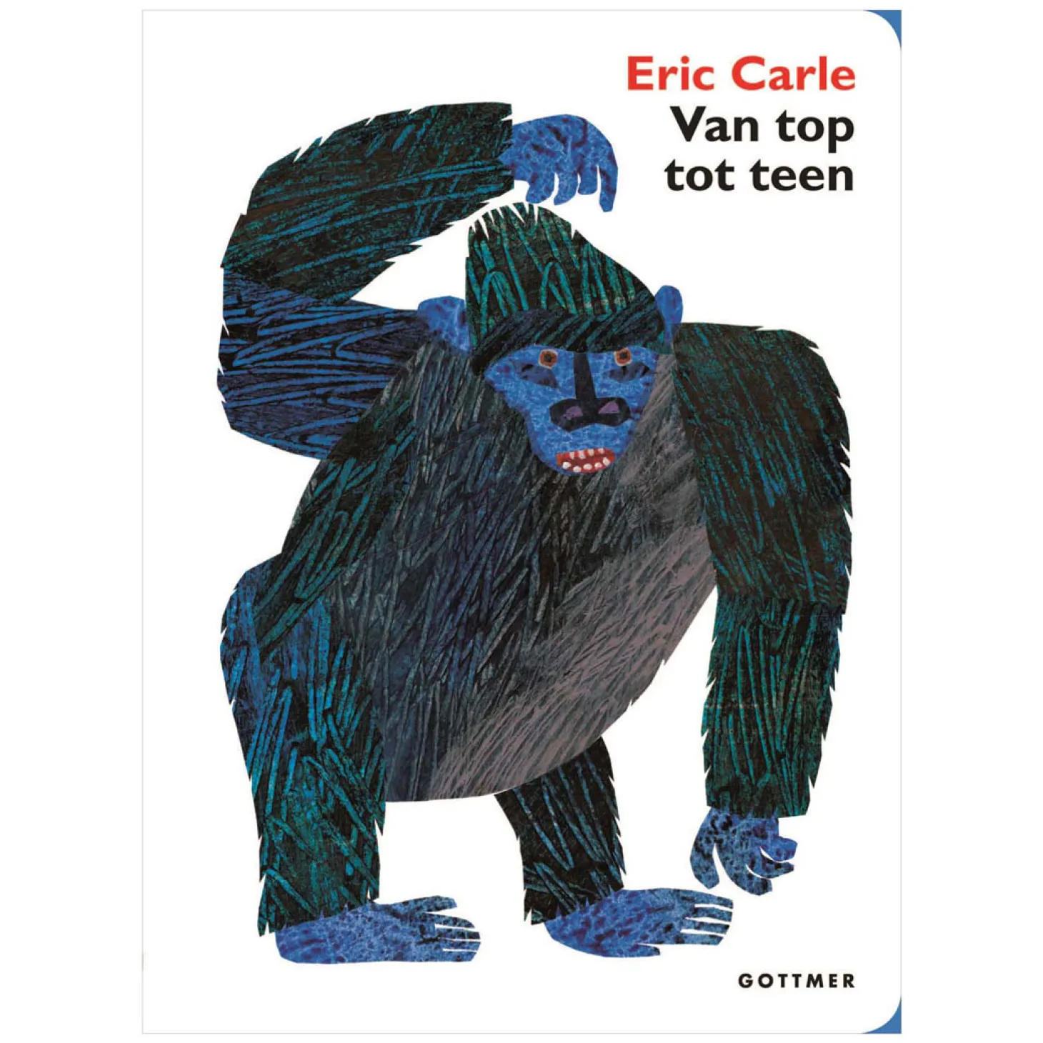 Kartonboekje Van top tot teen