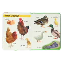 Kijk Eens Wat Zie Je Daar? De boerderij