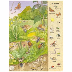 Kijk- en Zoekboek - Kriebeldiertjes