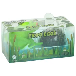 Kikker met Kikkerdril