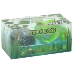 Kikker met Kikkerdril