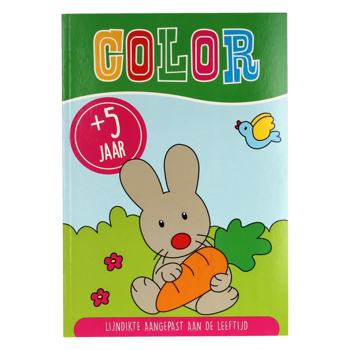 Kleurboek Color 5+ Jaar