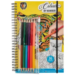 Kleuren op Nummer Kleurboek met Kleurpotloden.