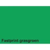 Kopieerpapier Fastprint A4 160gr grasgroen 50vel