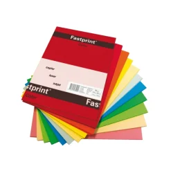 Kopieerpapier Fastprint A4 160gr 10kleuren x5vel