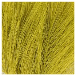 Kunstveren Groen, 10st.