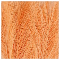 Kunstveren Oranje, 10st.