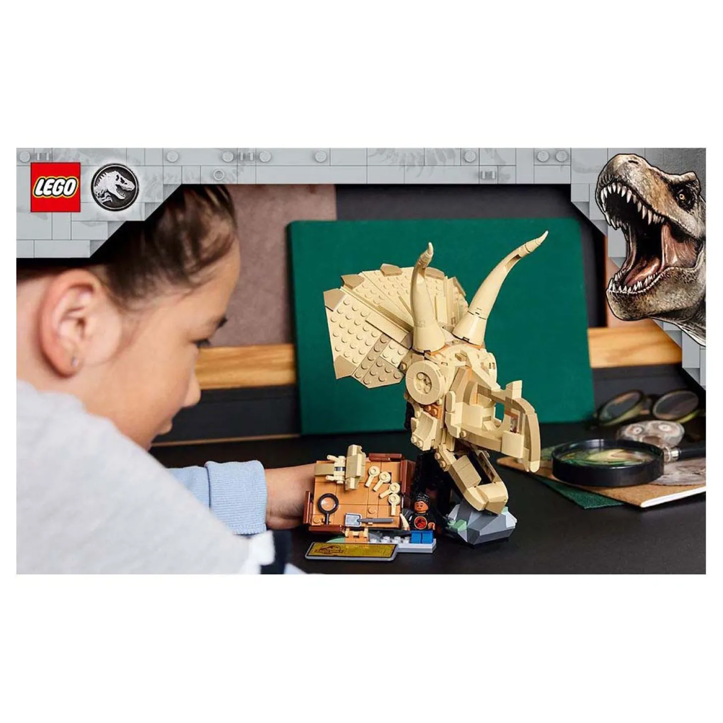 LEGO Jurassic World 76969 Dinosaurusfossielen: Triceratops Schedel
