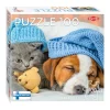 Legpuzzel Cute Kitten and Sleepy Dog, 100st.