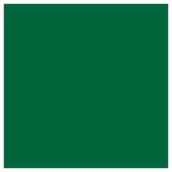 Linoleum Verf - Groen, 250ml