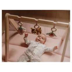 Little Dutch Houten Babygym Fairy Garden