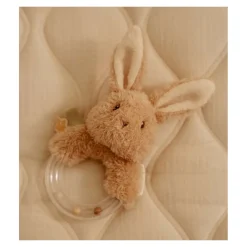 Little Dutch Ringrammelaar Newborn