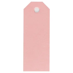 Manilla Labels Lichtrood, 20st.